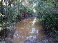 Avoiding the mud en route to the old Copper Mine at Coopers Creek